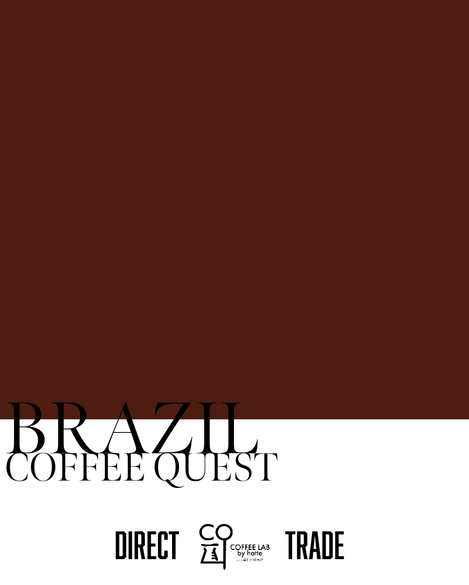 Brazil COFFEE QUEST Direct Trade Green Beans 500g
