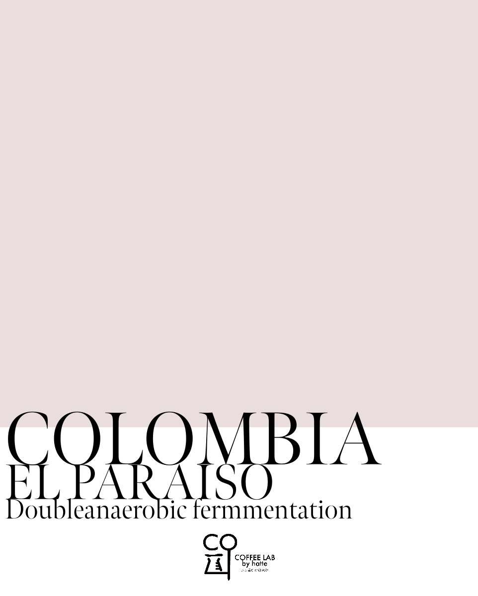 Colombia El Paraiso Double Anaerobic Lychee Roasted to Order