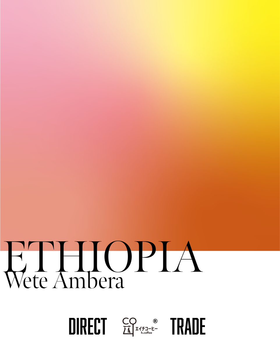 エチオピア イルガチェフェ WETE AMBERA ウォッシュド ダイレクト エチオピア イルガチェフェ WETE AMBERA ウォッシュド ダイレクト