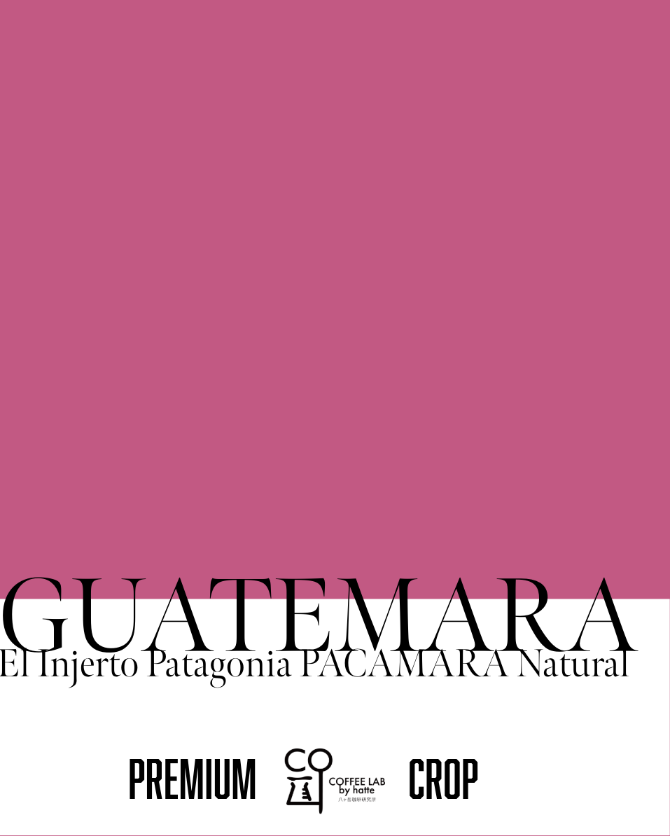 Guatemala El Injerto Pacamara Natural Roasted to Order