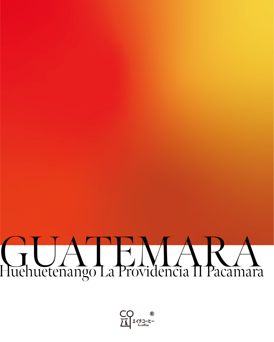 Guatemala Huehuetenango La Providencia Farm II Pacamara Roasted to Order