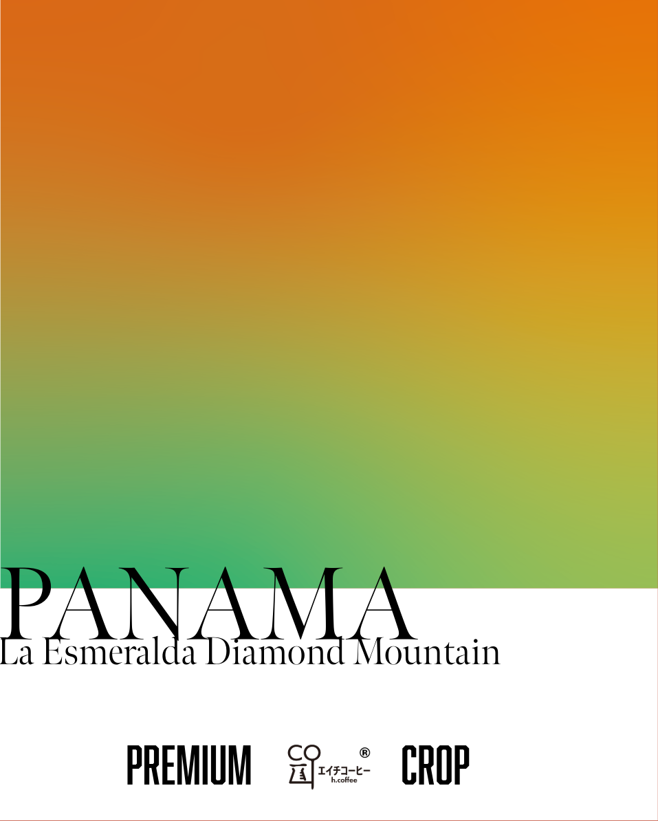 パナマ ラ・エスメラルダ ダイヤモンドマウンテン 注文焙煎