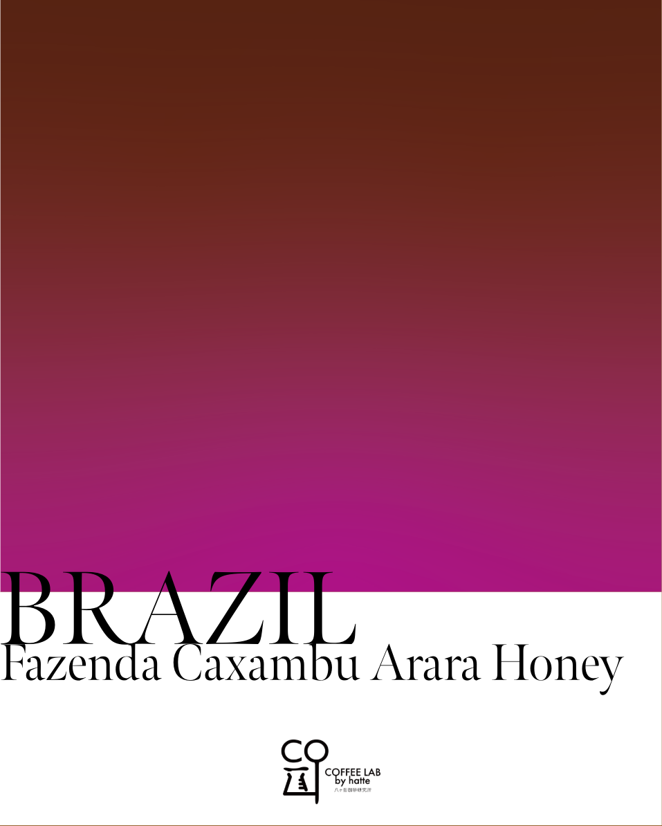 Brazil Fazenda Cacchambu Arara Honey Roasted to Order