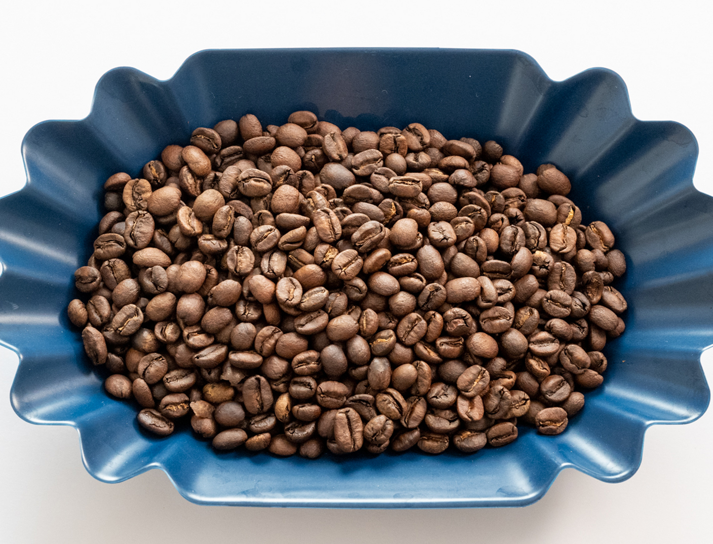 コスタリカ ドン・オスカル エル・コヨーテ ビジャロボス YH 注文焙煎