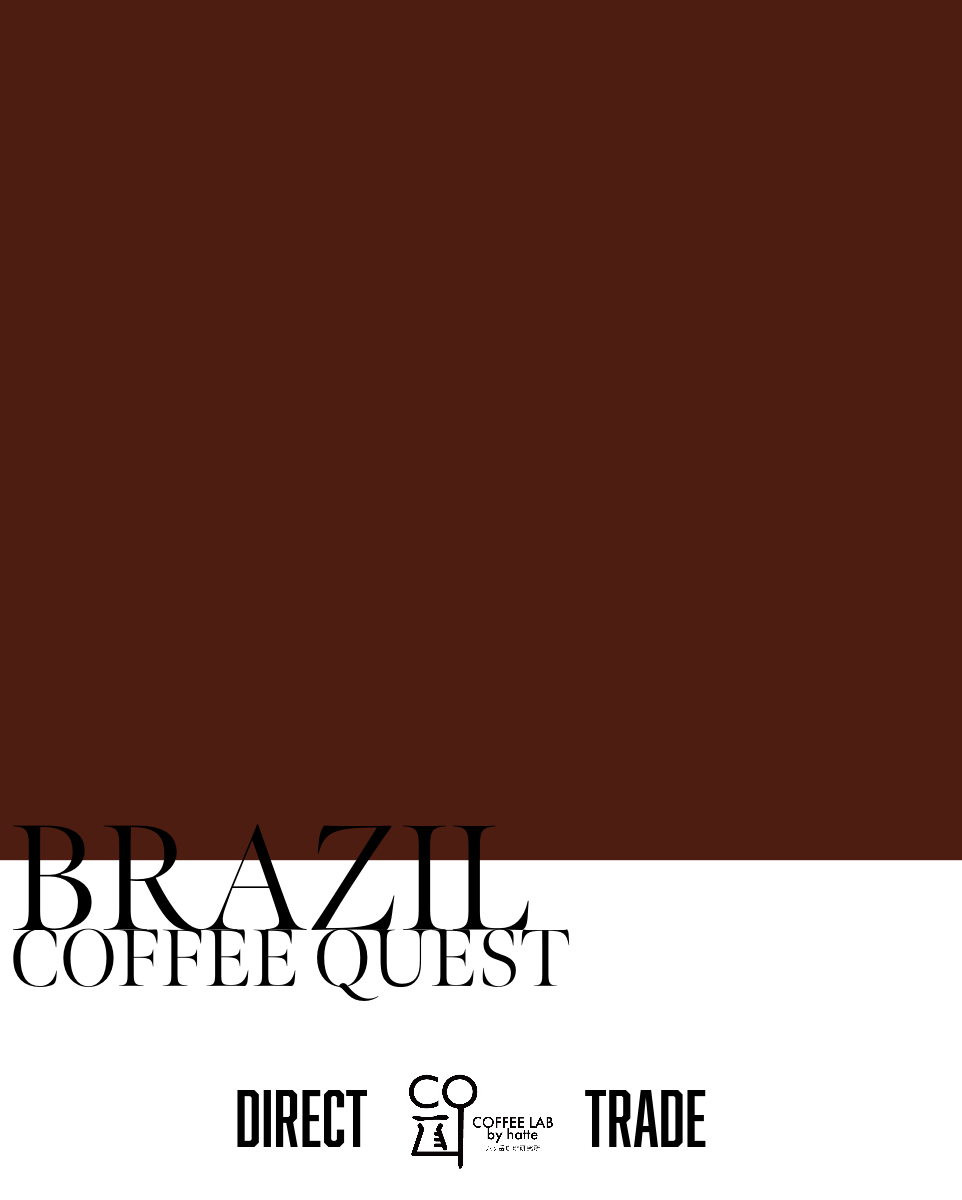 ブラジル COFFEE QUEST ダイレクトトレード 注文焙煎