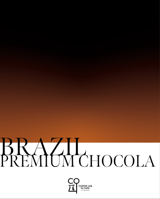 Brazil Santo Antonio Premium Chocolate Order Roasting