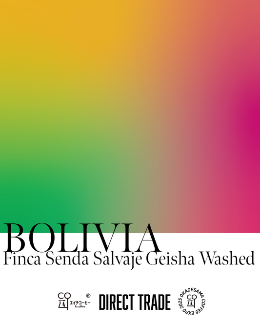 ボリビア Carmelo & Deysi Geisha Washed 注文焙煎