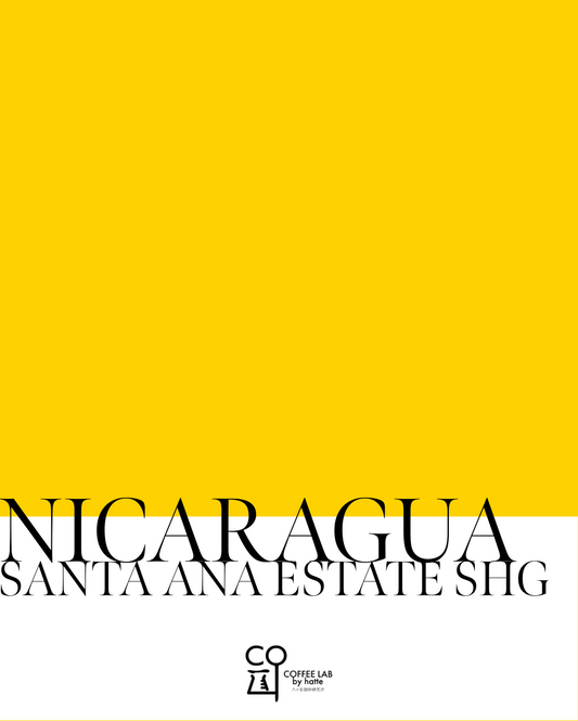 Nicaragua Santa Ana SHG order roast 180g(90gx2)