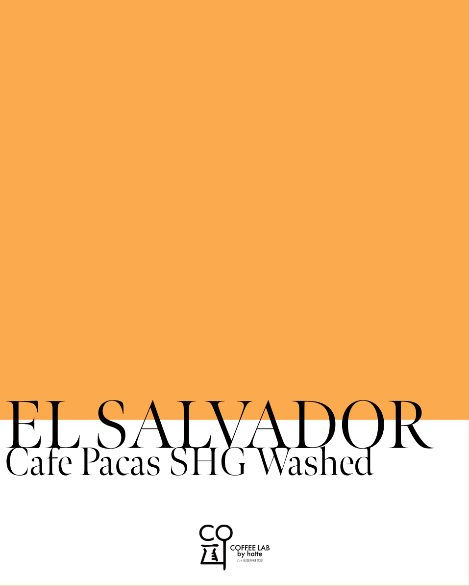 [For commercial use] El Salvador Cafe Pacas Washed Roasted to order