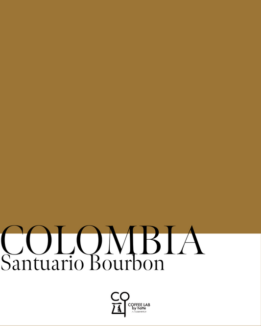 Colombia Santuario Bourbon Roasted to Order