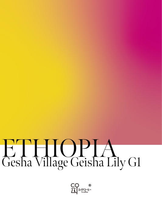 エチオピア ゲシャ ゲイシャリリーG1 ウォッシュト 注文焙煎