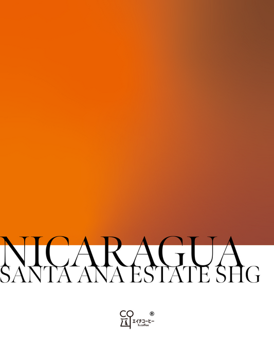 [For commercial use] Nicaragua Santa Ana SHG custom roasted