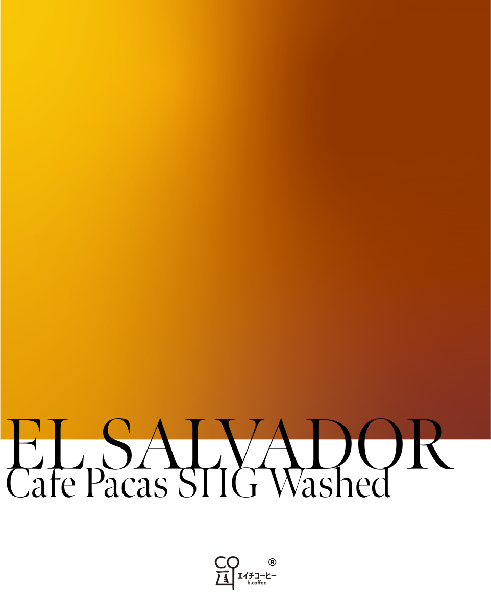 [Drip Bag] El Salvador Cafe Pacas Washed Roasted to Order