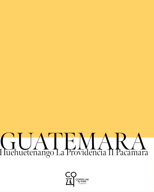 Guatemala Huehuetenango La Providencia Farm II Pacamara order roast 180g(90gx2)