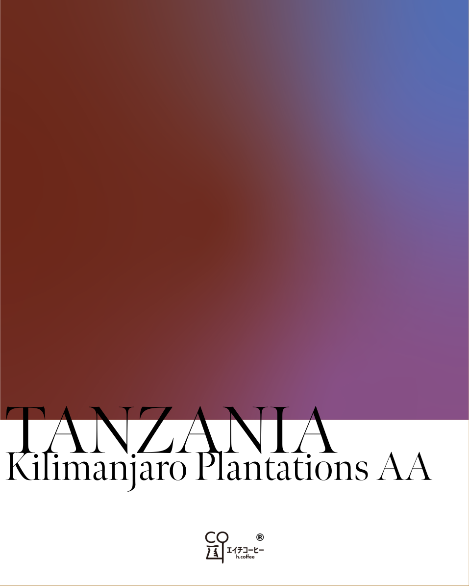 タンザニア キリマンジャロ農園 AA フリーウォッシュト 注文焙煎