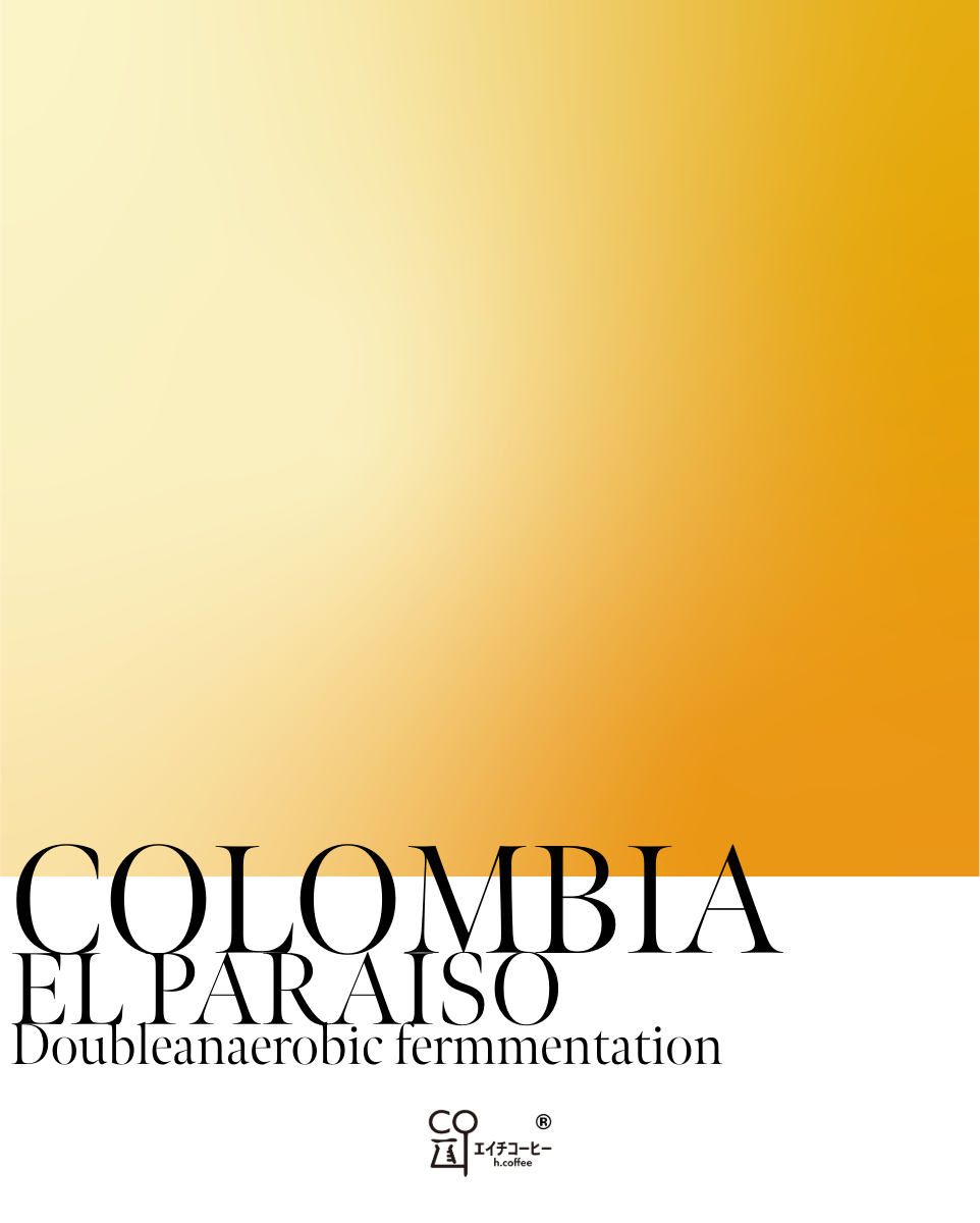 コロンビア エルパライソダブルアナエロビック ライチ 注文焙煎