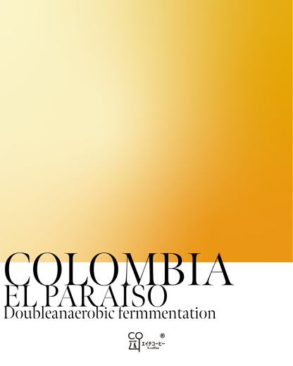 コロンビア エルパライソダブルアナエロビック ライチ 注文焙煎