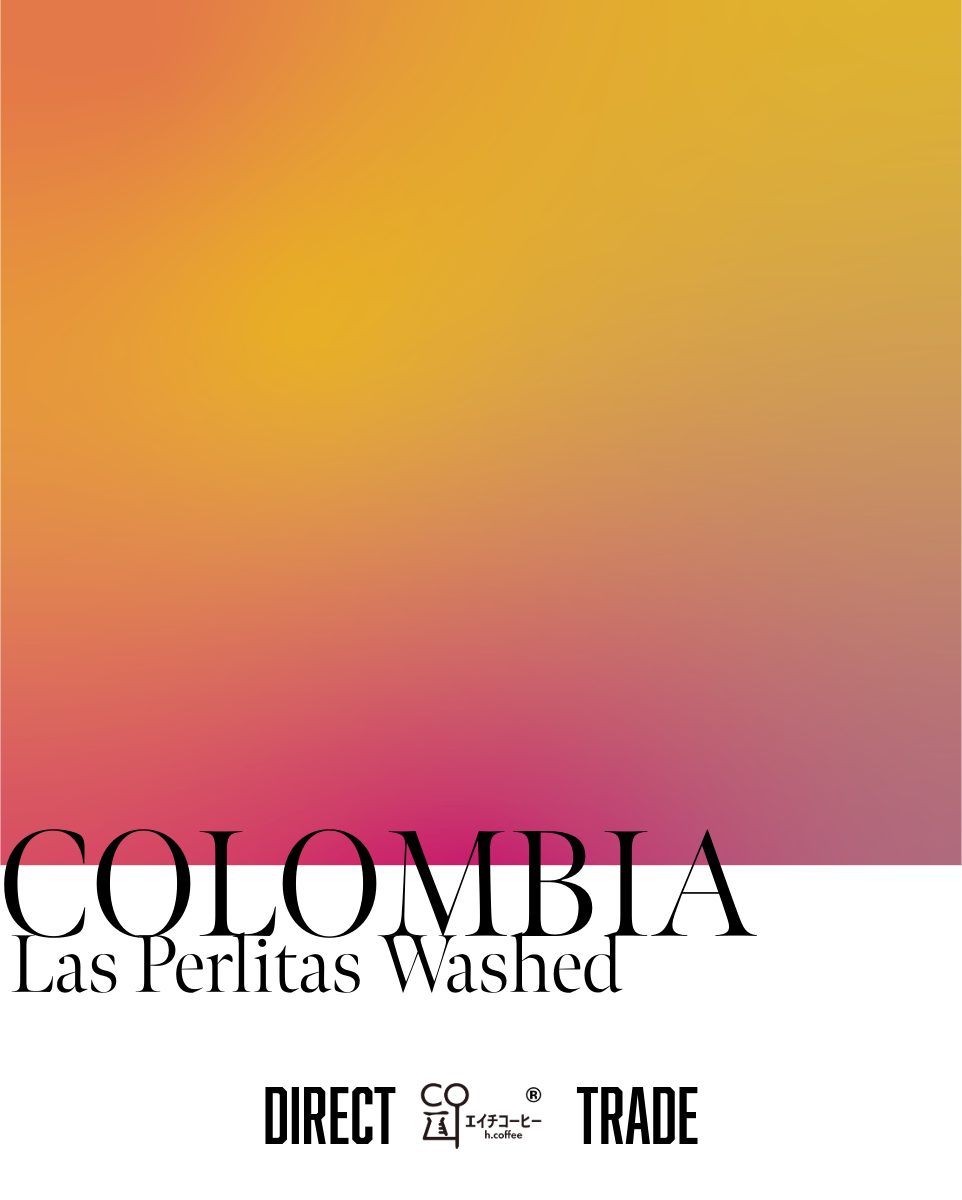 コロンビア COFFEE QUEST Las Perlitas Washed 注文焙煎