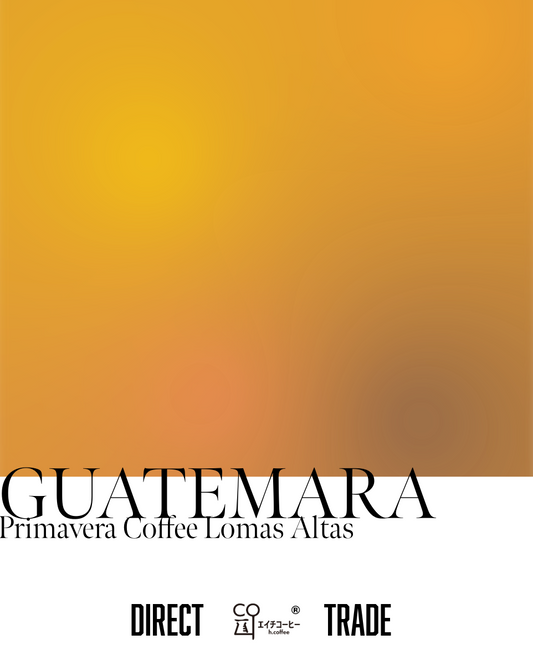 グアテマラ Primavera Coffee Lomas Atras Washed 注文焙煎