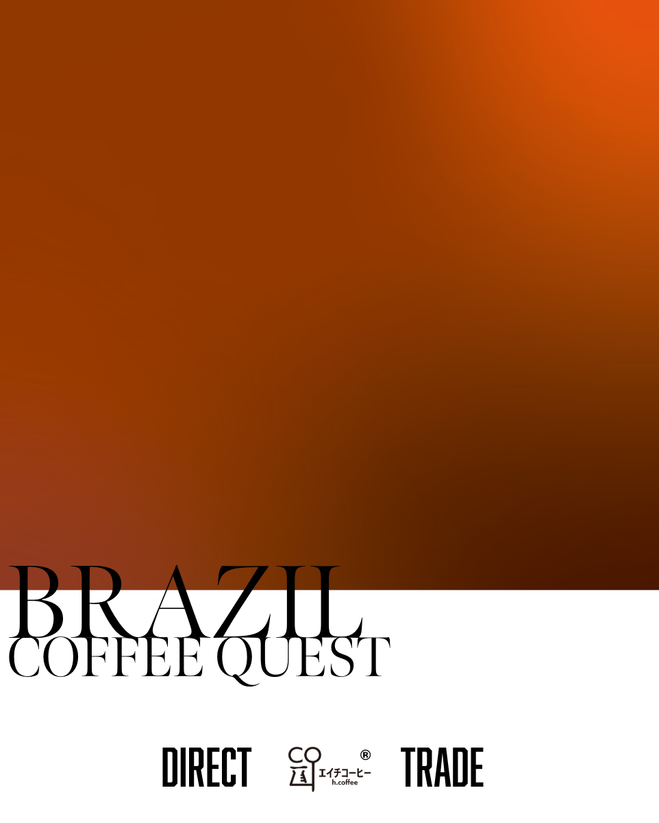 [Drip Bag] Brazil COFFEE QUEST Direct Trade Roasted to Order