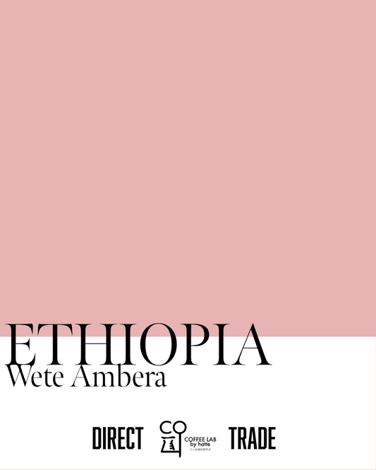 Ethiopia Yirgacheffe WETE AMBERA Washed Direct Trade Roasted to Order