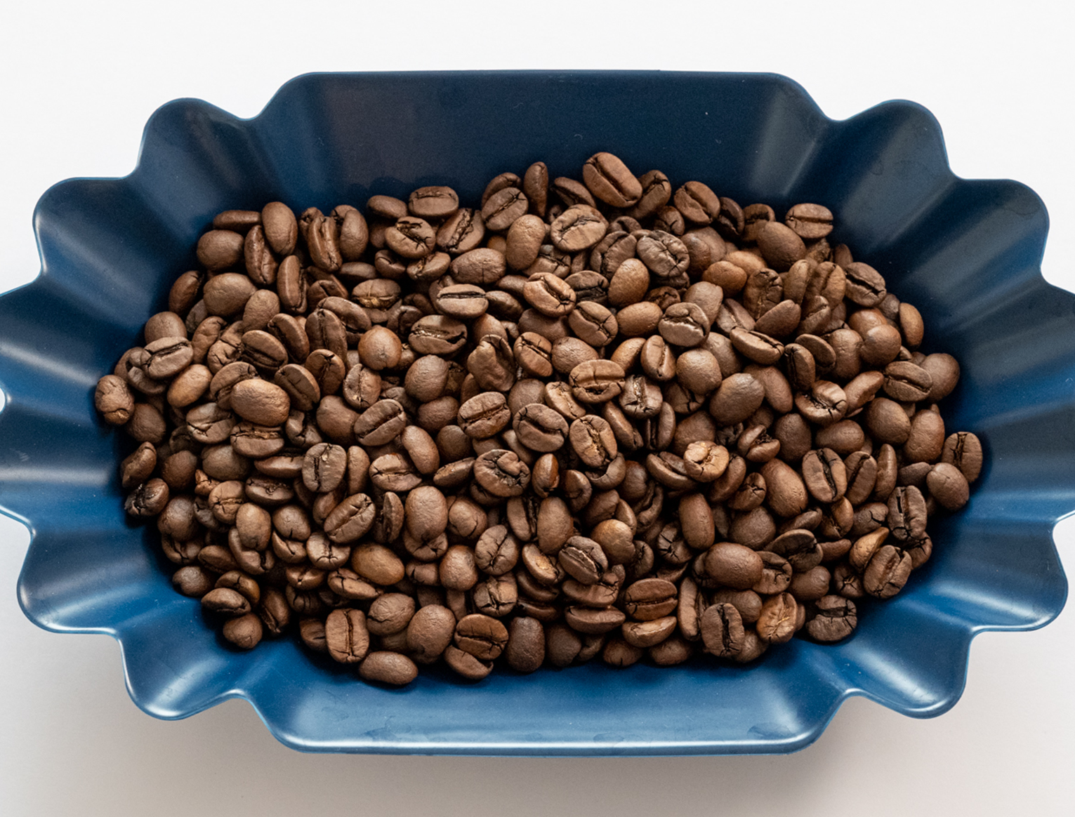 スペシャルティコーヒー豆|ブラジル ブラジル サントアントニオ スペシャルティコーヒー豆|ブラジル ブラジル サントアントニオ