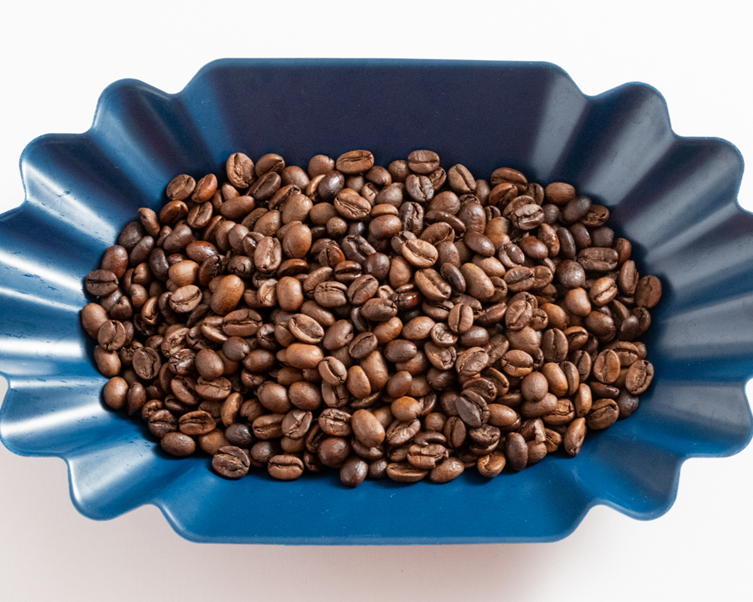 スペシャルティコーヒー豆|エチオピア エチオピア ゲシャ ゲイシャ スペシャルティコーヒー豆|エチオピア エチオピア ゲシャ ゲイシャ