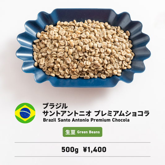 ブラジル サントアントニオ プレミアムショコラ生豆 500g